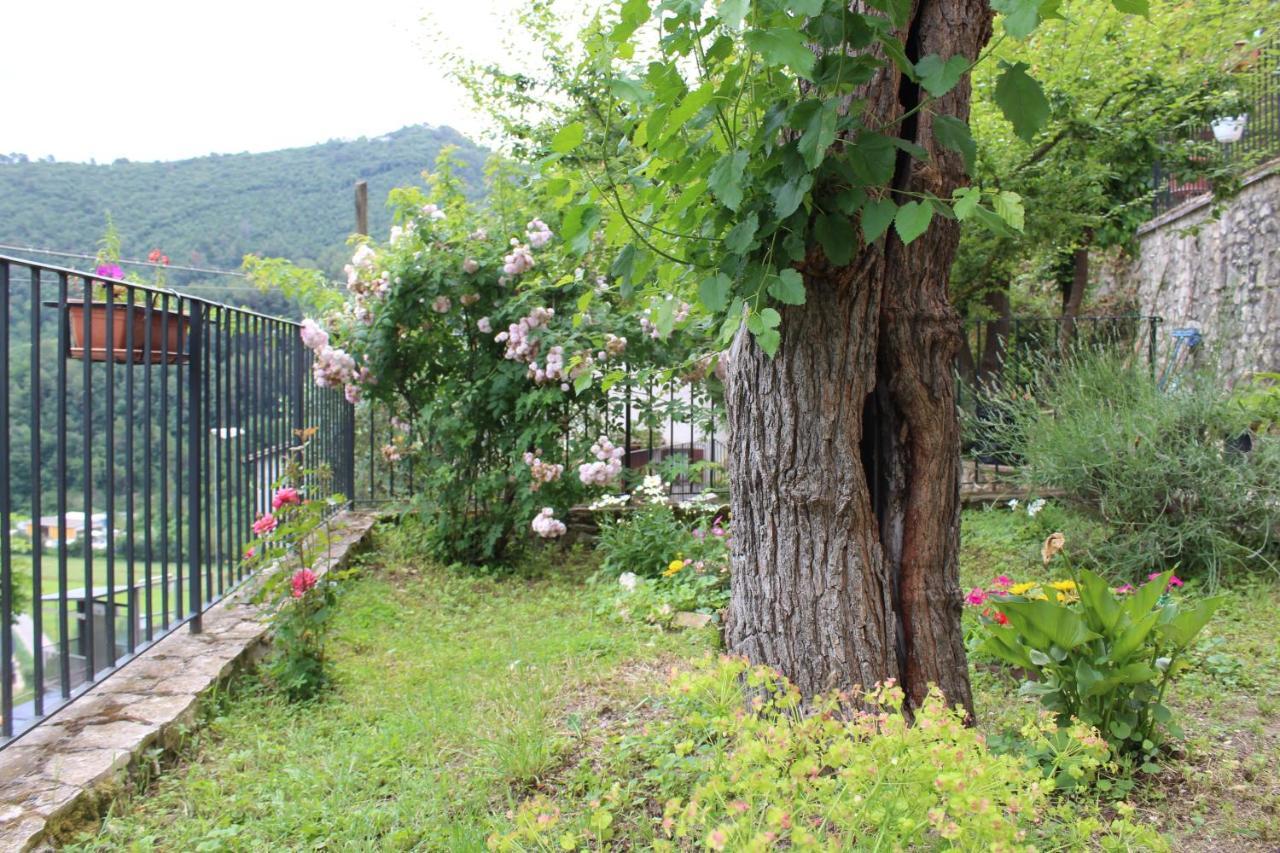 Il Castello Sul Lago Arrone Exteriér fotografie